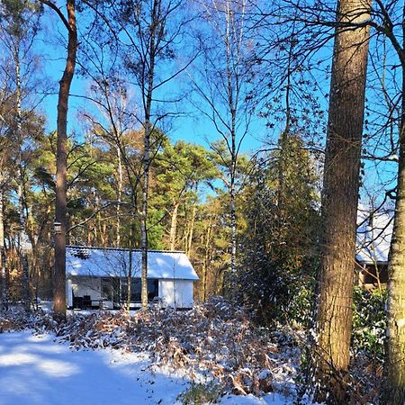 Bungalow, Vrijstaand, Het Vosseven Nr 38 Stramproy Exterior foto
