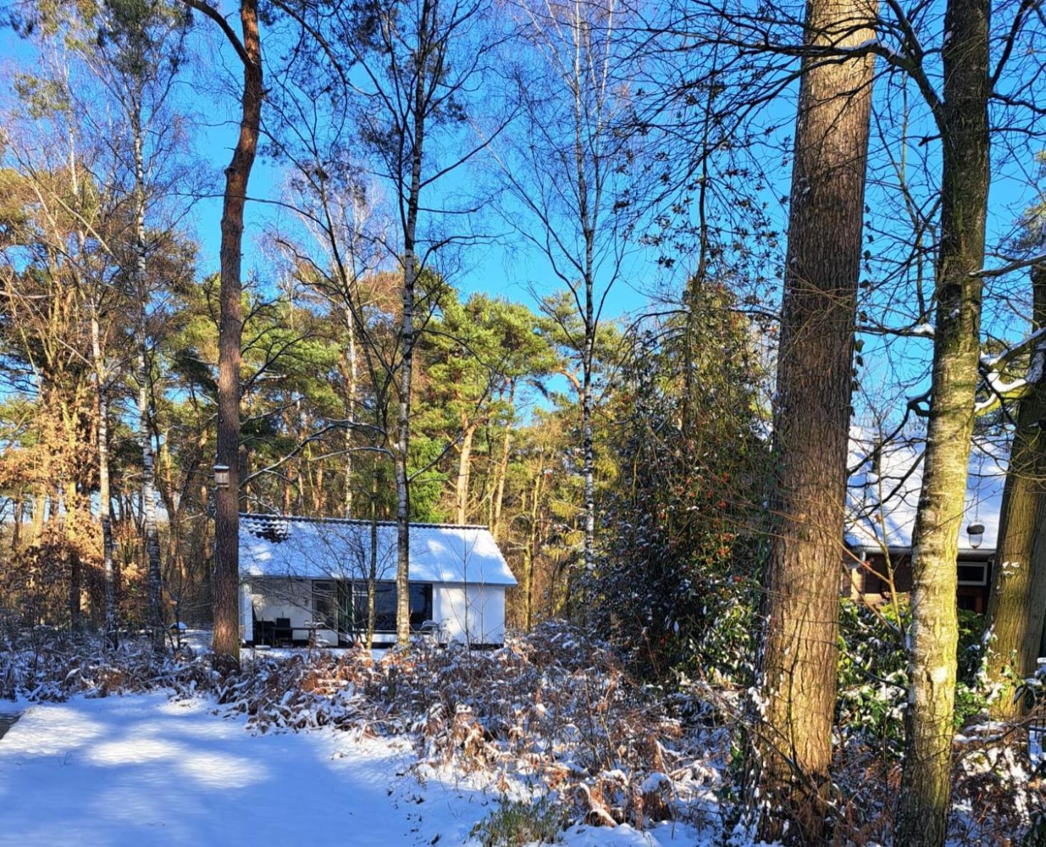 Bungalow, Vrijstaand, Het Vosseven Nr 38 Stramproy Exterior foto